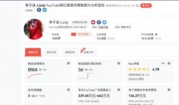 国产TUbe,引领科技潮流的创新力量